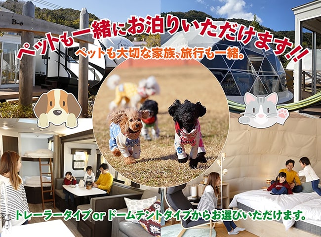 ペットとの旅におすすめのプランはこちら!